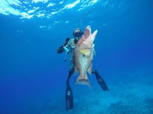 long_island_charters
