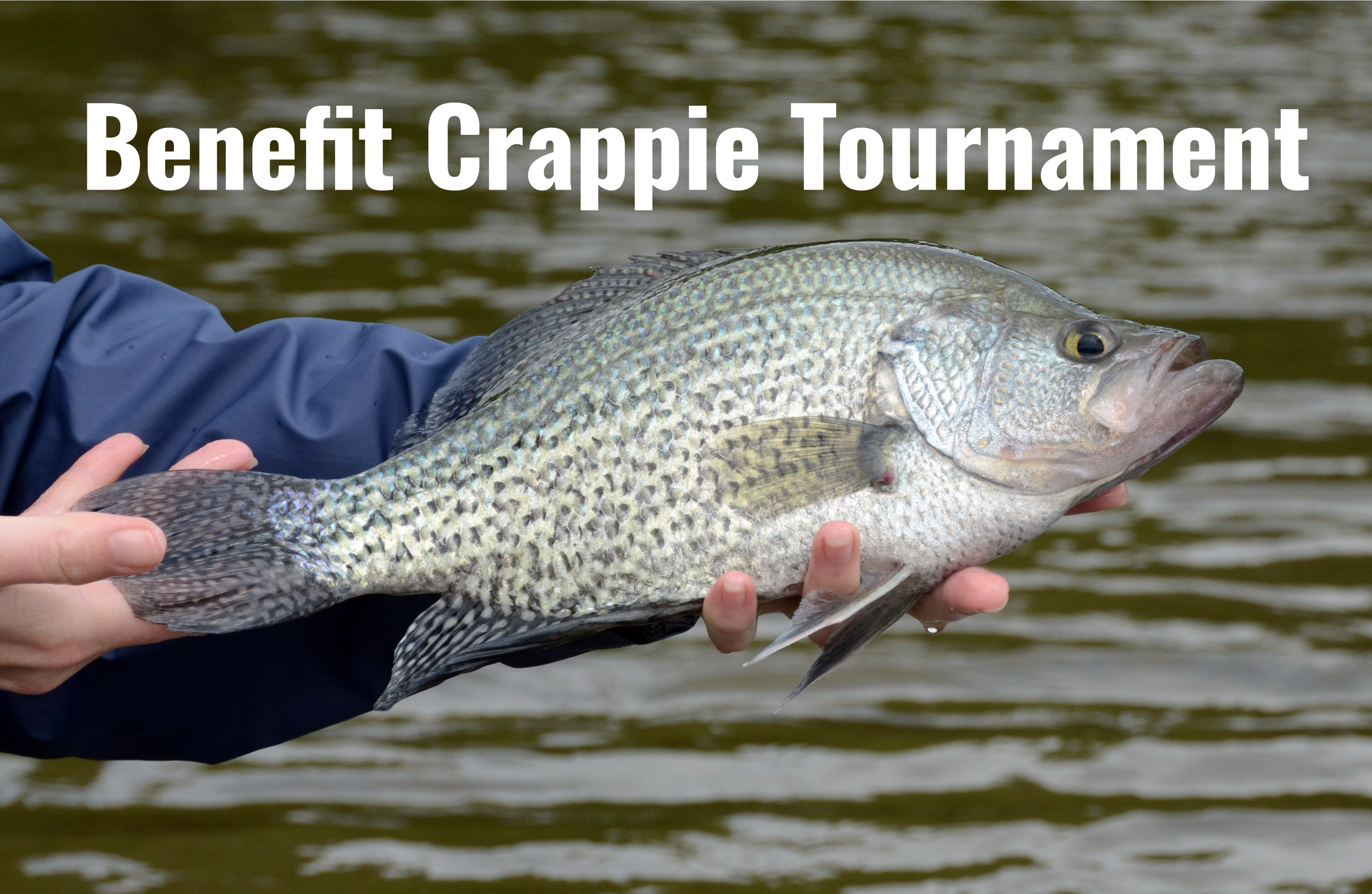 crappie tournament